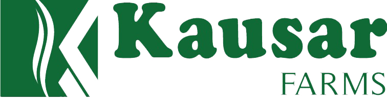 Kausar Rice & General Mills